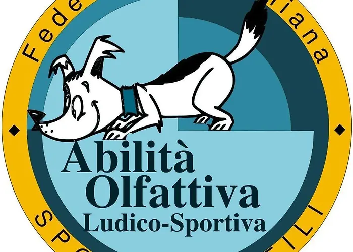 Turismo Associativo Giovanile Asd Borgofranco d'Ivrea